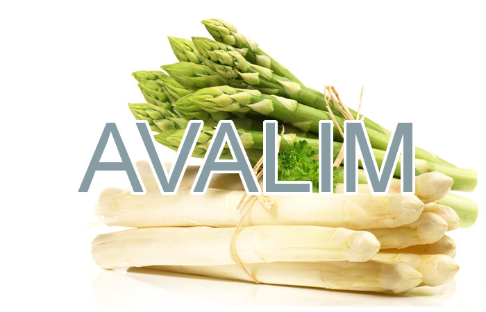 Spargel - Avalim