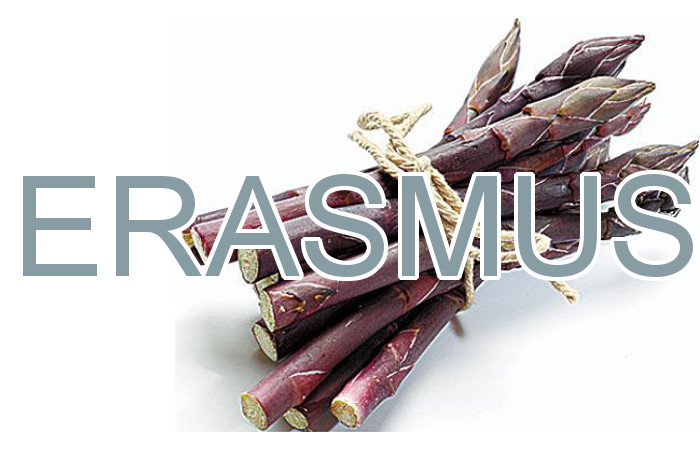 Spargel - Erasmus
