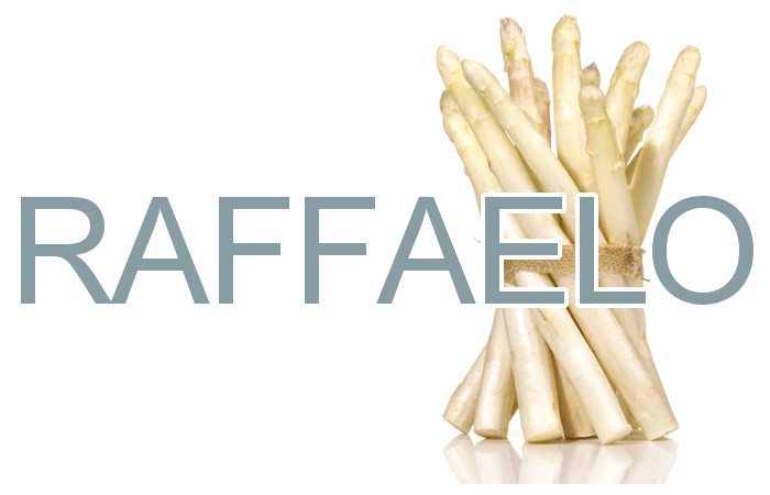 Spargel - Raffaelo