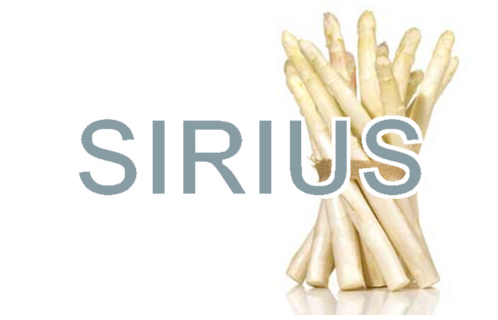 Spargel - Sirius